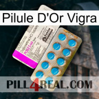 Vigra Gold Pill new07